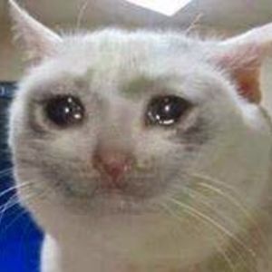 vadnai_balazs avatar