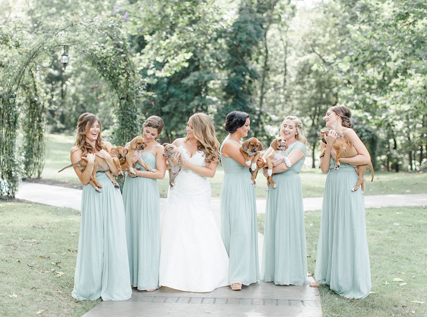 wedding-puppies-instead-flowers-pensylvannia-1 wedding-puppies-instead-flowers-pensylvannia-1