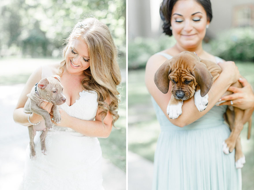 wedding-puppies-instead-flowers-pensylvannia-12
