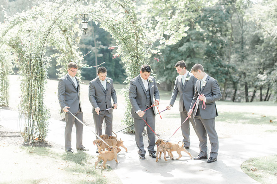 wedding-puppies-instead-flowers-pensylvannia-7 wedding-puppies-instead-flowers-pensylvannia-7