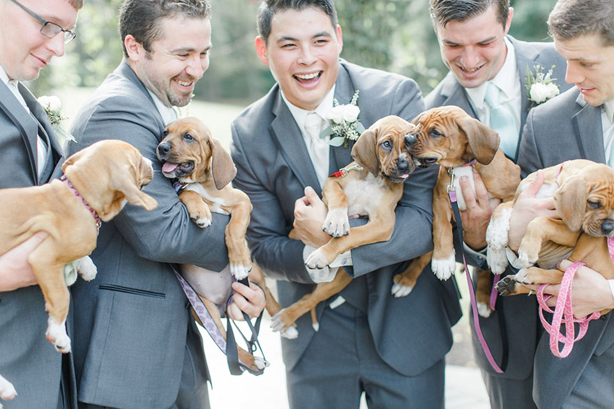 wedding-puppies-instead-flowers-pensylvannia-8