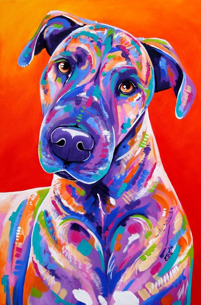 I Paint Colourful Animal Portraits With A Twist