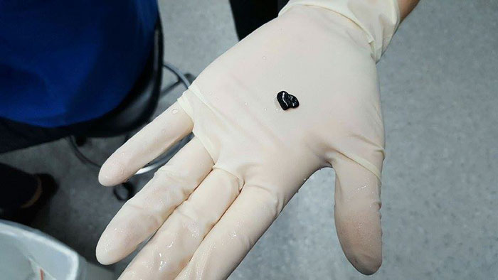 woman-saving-goldfish-500dollars-australia-fb03