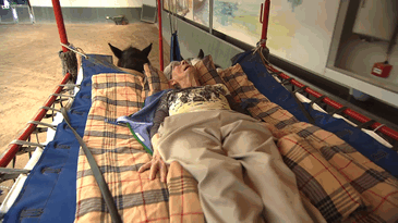 woman-wish-ride-horse-last-time-11 woman-wish-ride-horse-last-time-11