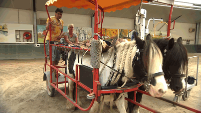 woman-wish-ride-horse-last-time-2 woman-wish-ride-horse-last-time-2