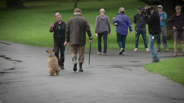 worlds-loneliest-dog-movie-star-2 worlds-loneliest-dog-movie-star-2