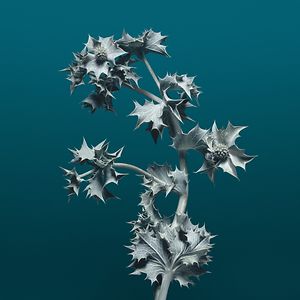 marlenemegg54 avatar