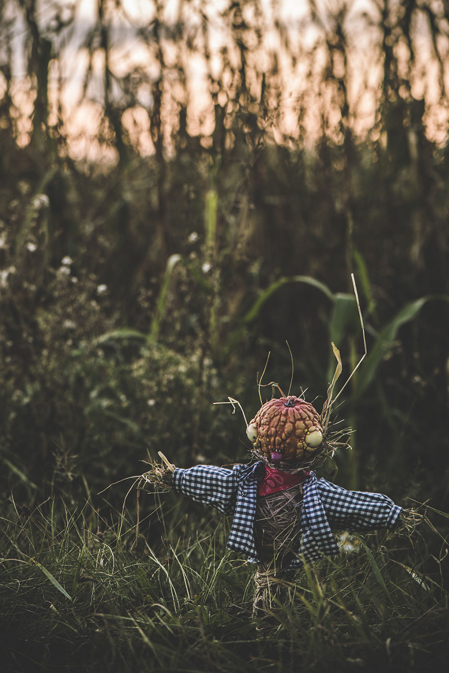 We Made Creepy Pumpkins And Scarecrows For Halloween