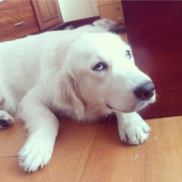 What Wrong With Me?!