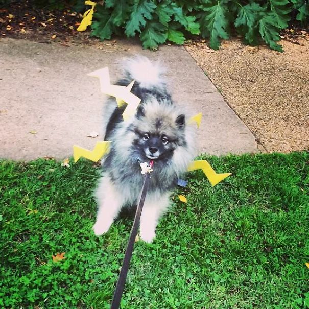 Roscoe The Storm Cloud