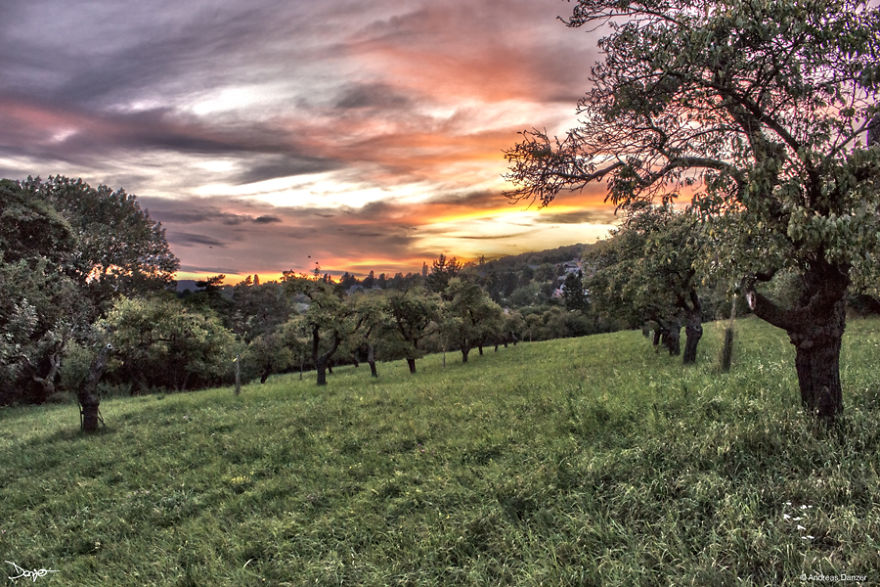 Photography - My Therapy