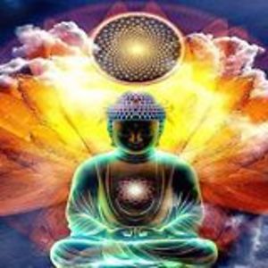 meditationtalks1111 avatar