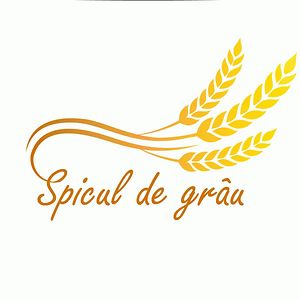 spiculdegrau_1 avatar