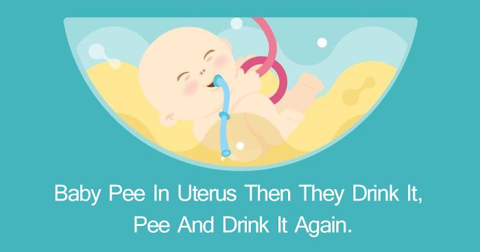 12 Weird Pregnancy Facts That You Probably Didn’t Know