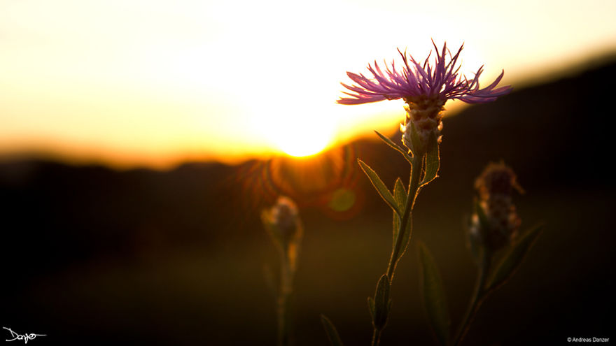 Photography - My Therapy