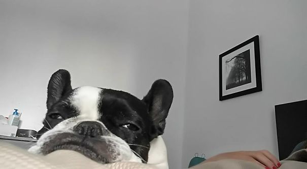 Ina Doesn't Care About Anything