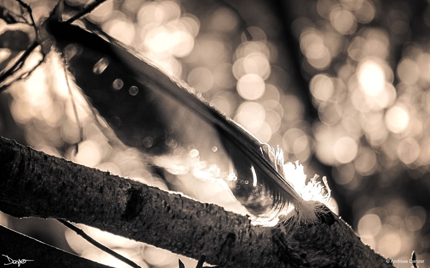 Photography - My Therapy Photography - My Therapy