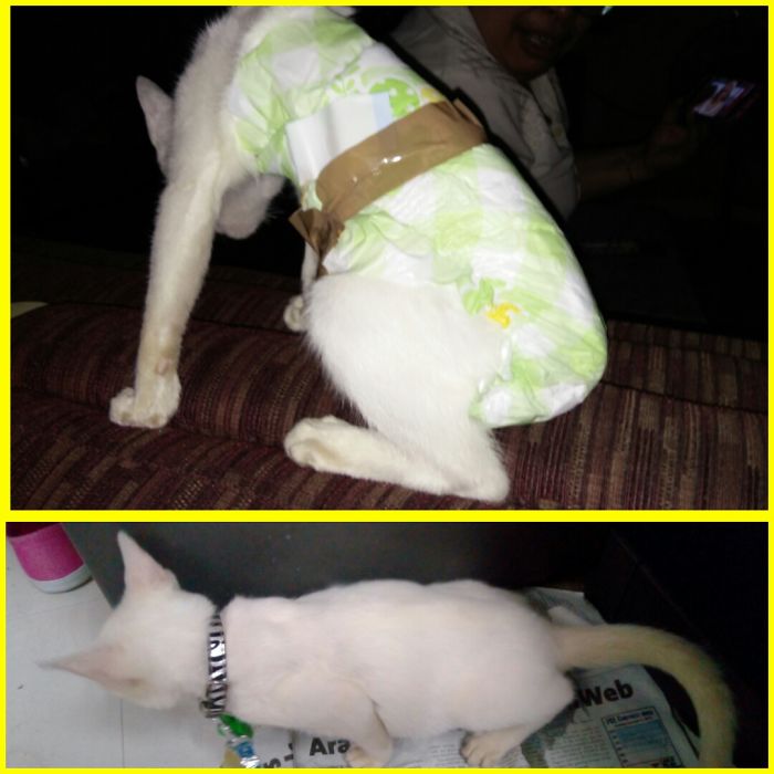 Going To The Comfort Room Is Kinda Hassle!