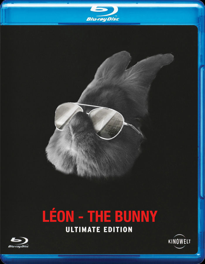 LÉon - The Bunny