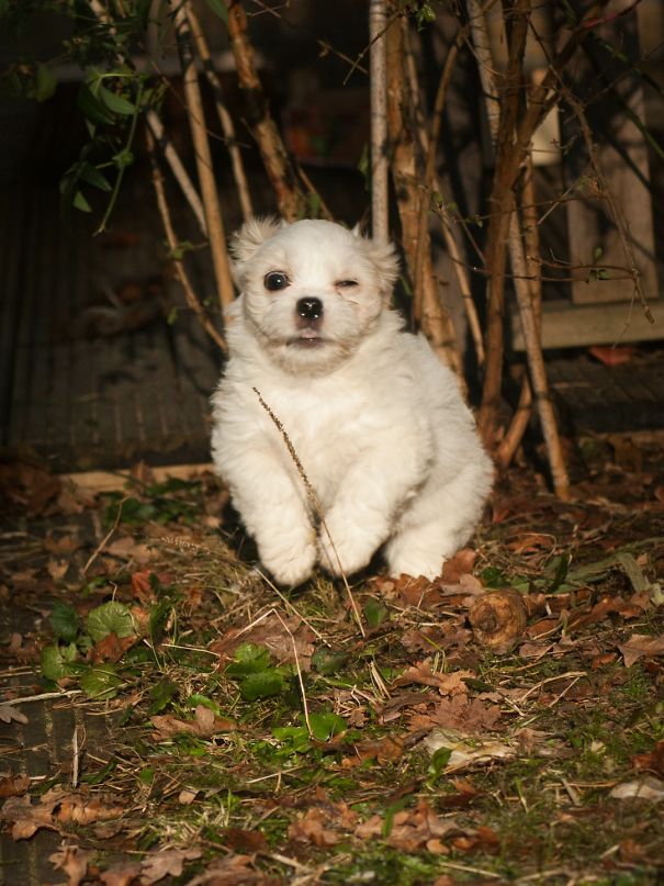 Ooh, A Picture! Let Me Get Read-- *click*