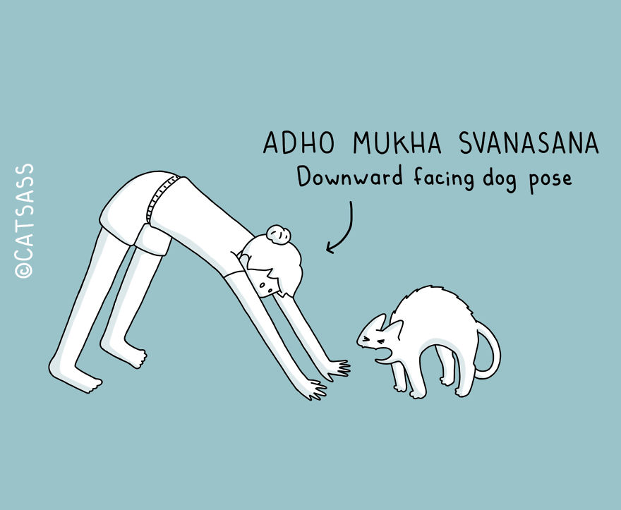 These Comics Show How You Can Do Yoga With Your Cat