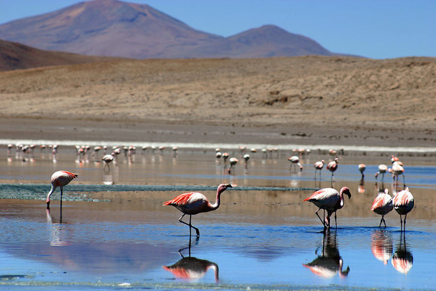 South Lipez, Bolivia