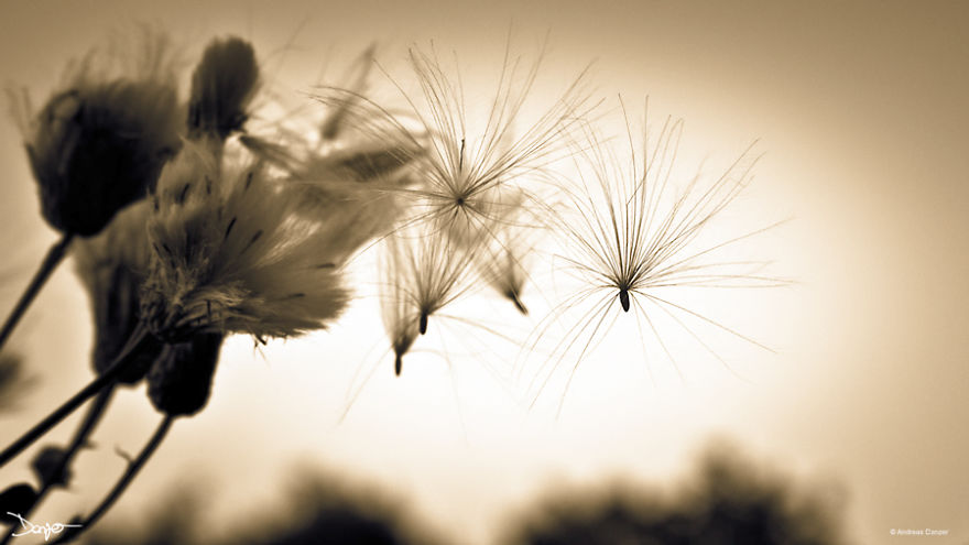 Photography - My Therapy Photography - My Therapy