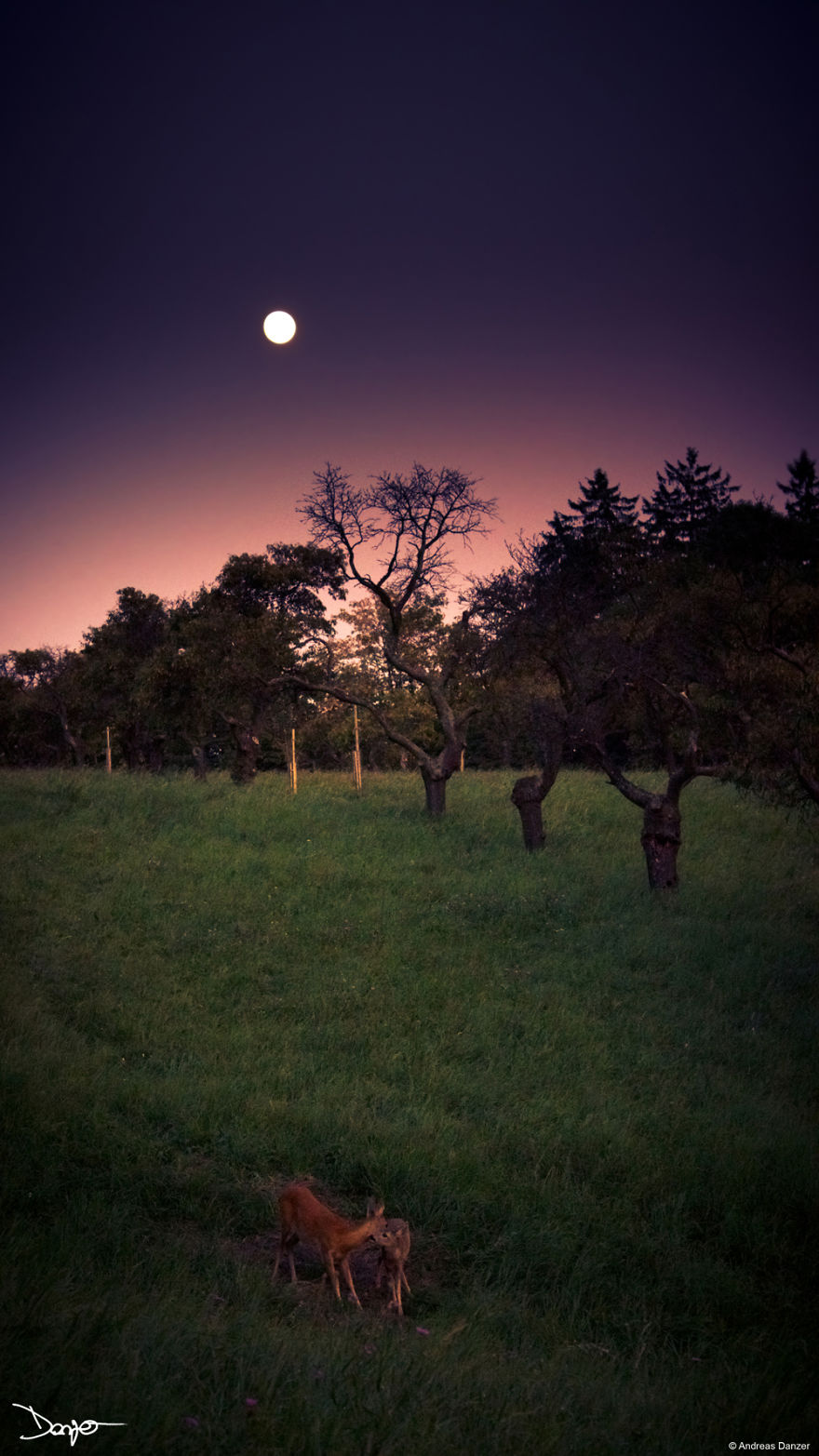 Photography - My Therapy