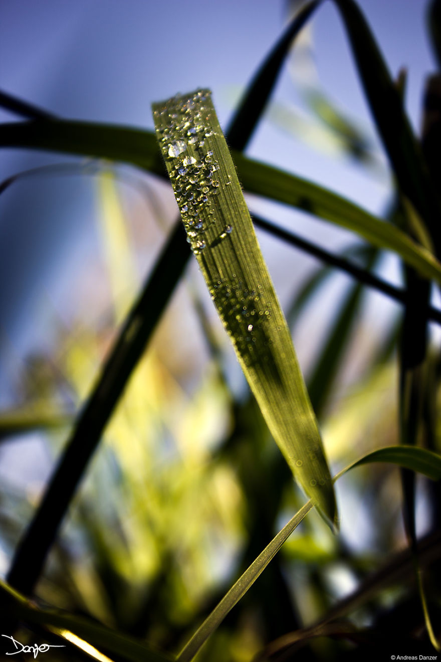 Photography - My Therapy