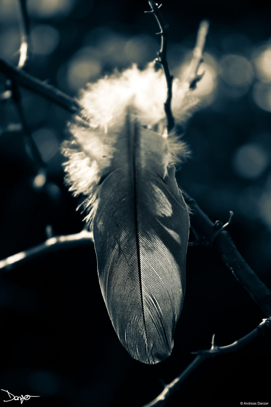 Photography - My Therapy