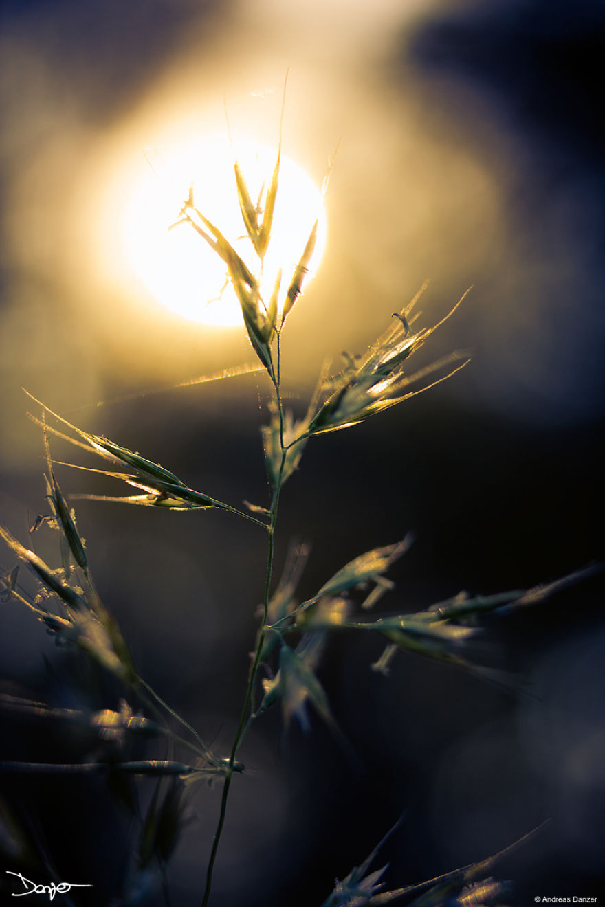 Photography - My Therapy