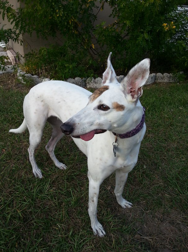 Forgot To Put It Back In