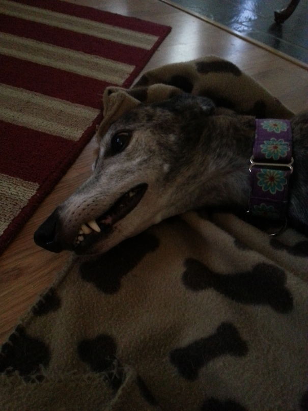 I'm Not Going To Rip Your Hand Off, I Promise. Just Sleeping