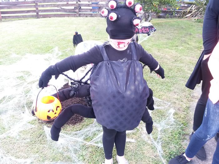 Perfectly Cute Spider