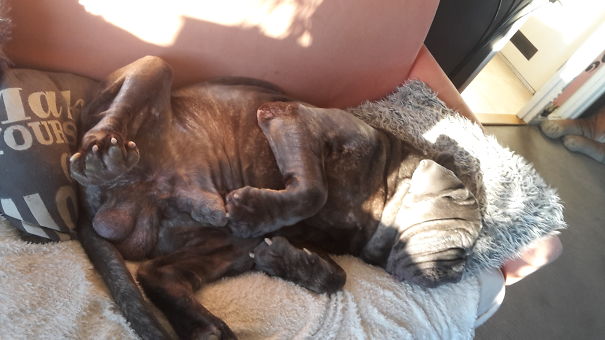 Jo His Big Balls...jingle Balls