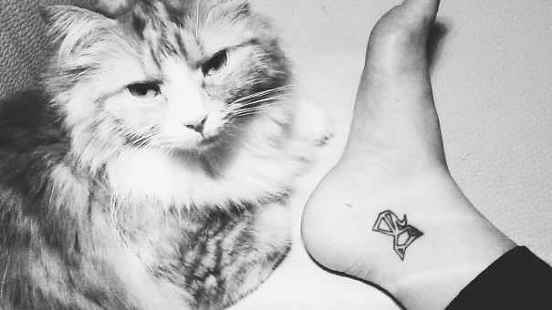 Cat tattoo on a person's foot next to a fluffy cat, showcasing personal expression as a cat person.