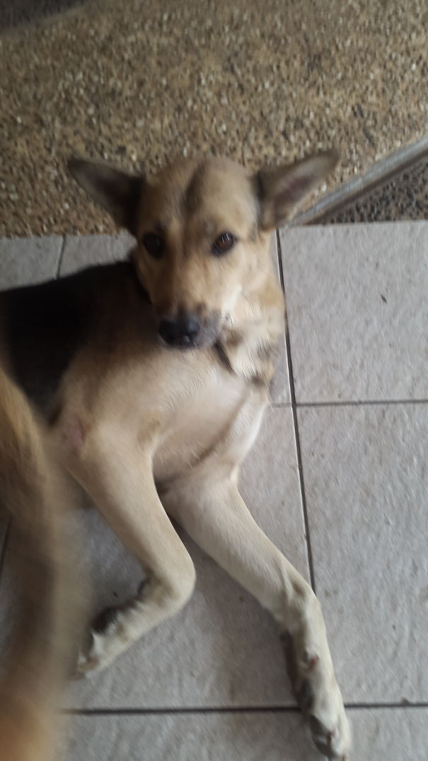 Huh? What 4 Did U Wake Me Up?