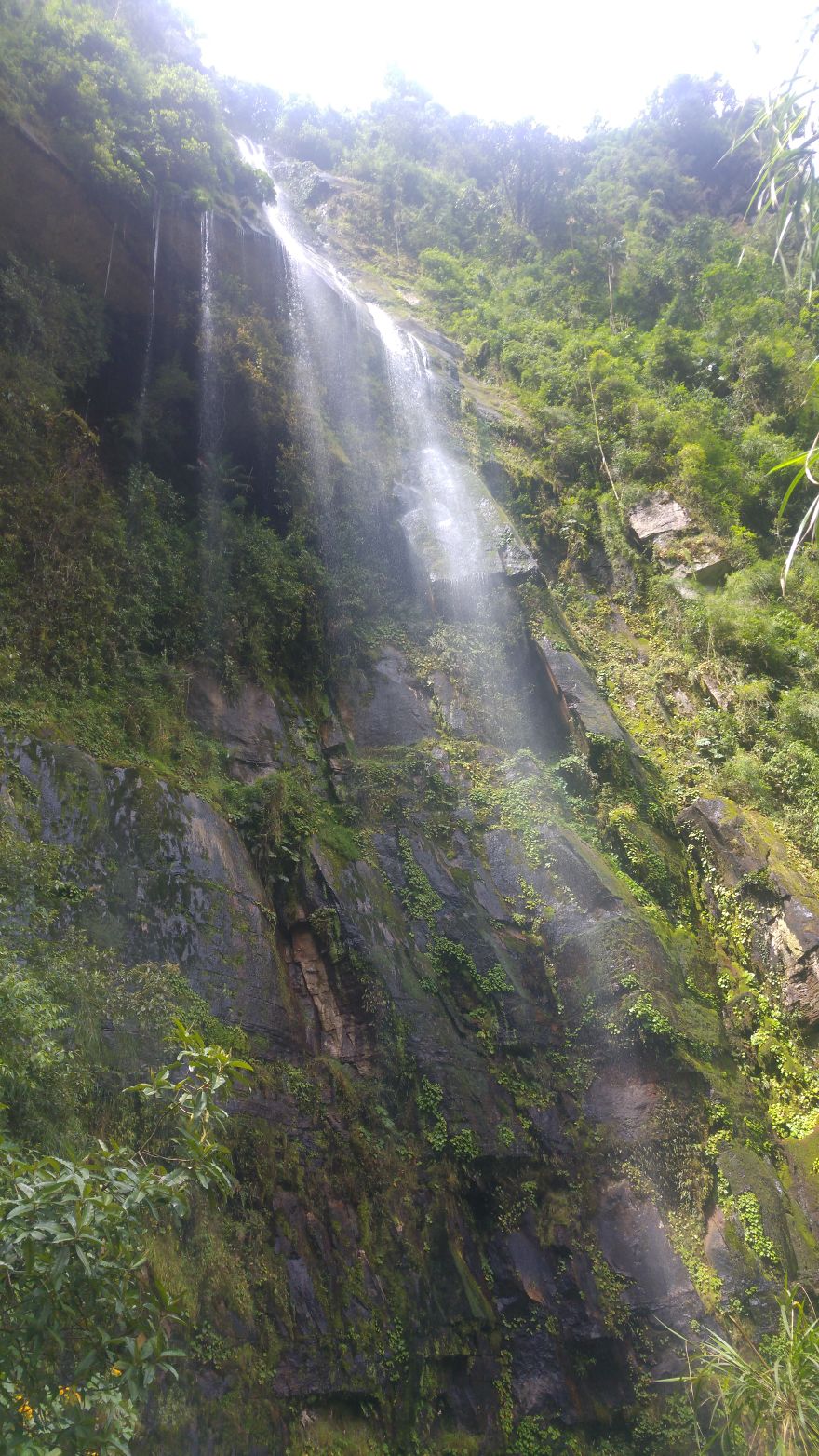 Choach&iacute;: Nuestro Monte Luna
