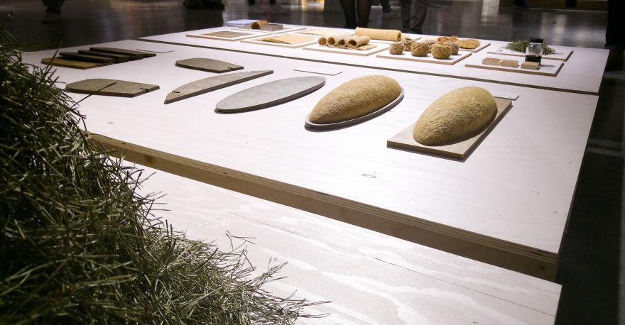 Pine Leaves, Design Academy