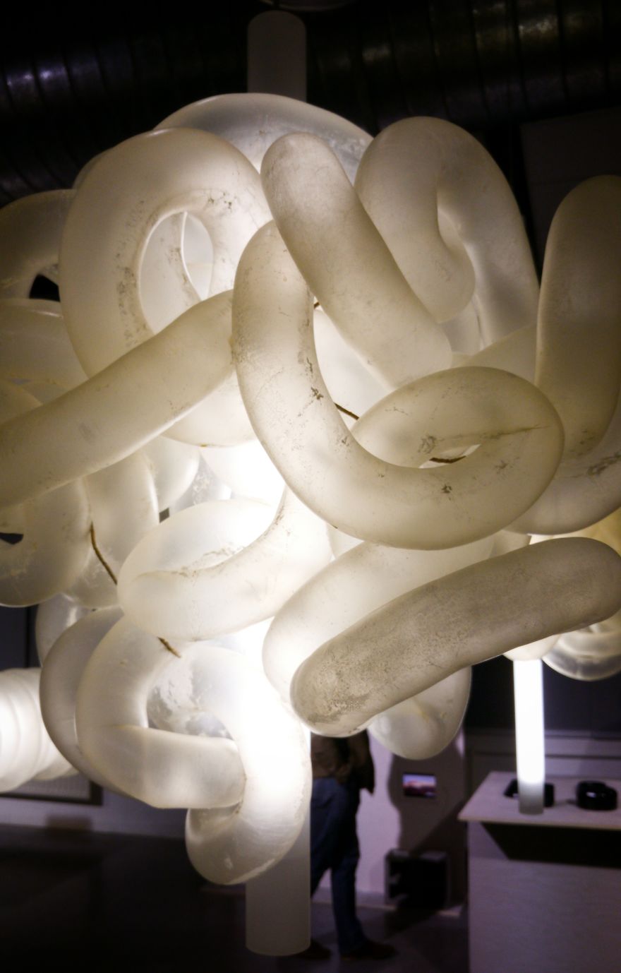 Cow Intestines, Design Academy