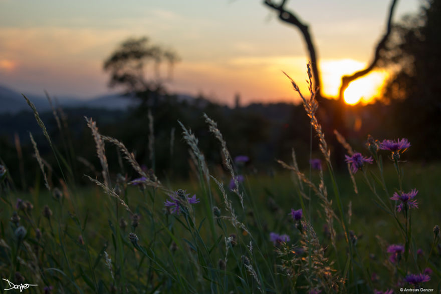 Photography - My Therapy Photography - My Therapy