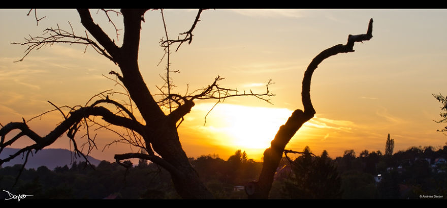 Photography - My Therapy