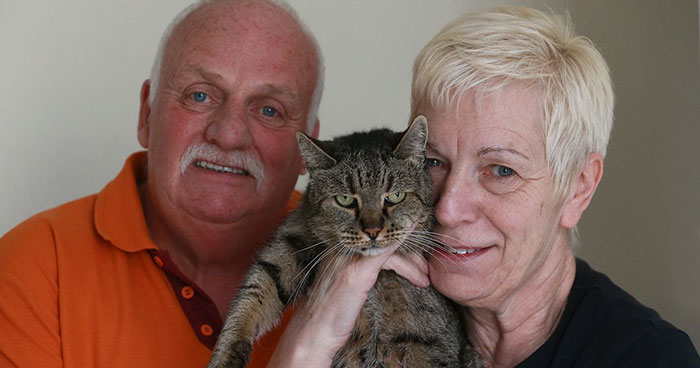 31-year-old-cat-nutmeg-3 31-year-old-cat-nutmeg-3