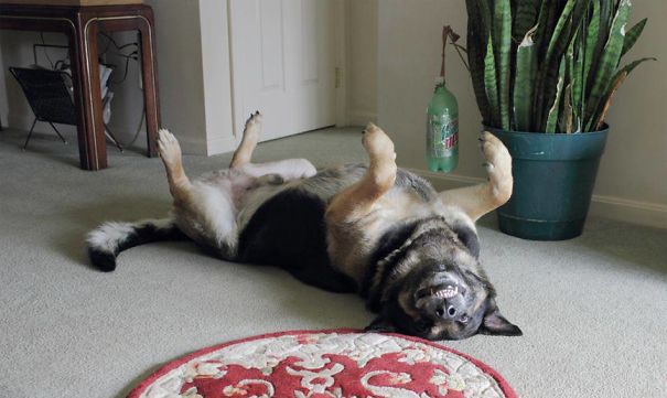 Photogenically Unphotogenic