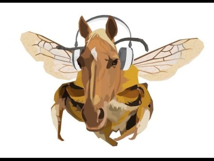 I Had I Strangest Request