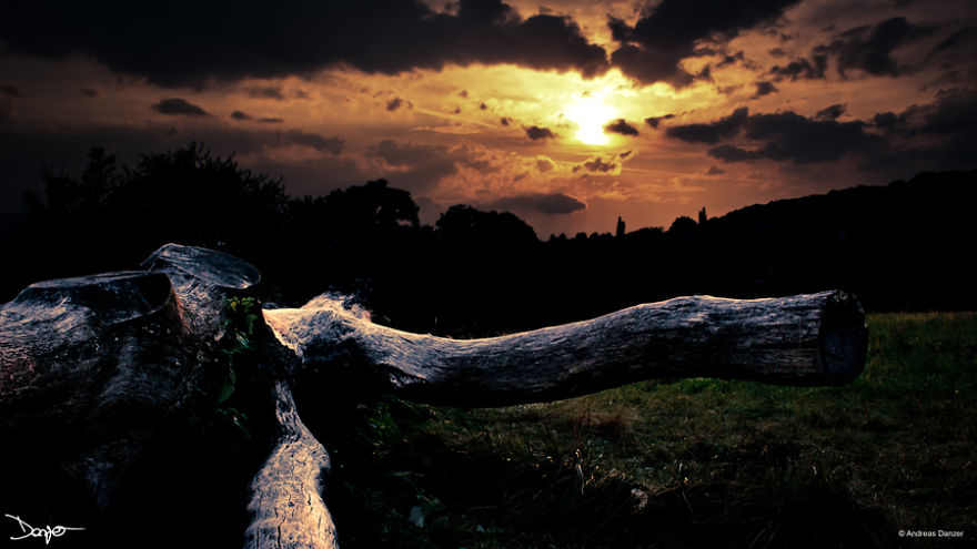 Photography - My Therapy