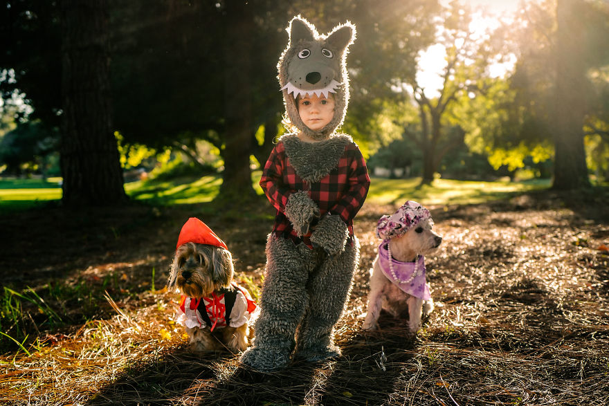 How A Photoshoot With A Toddler And Two Dogs Looks Like...
