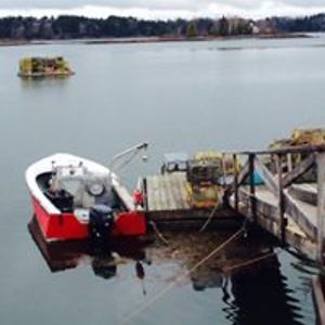 tucsonconniejo avatar