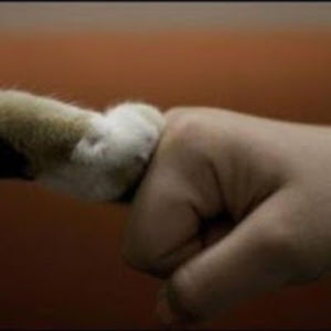 monochromeintechnicolor avatar