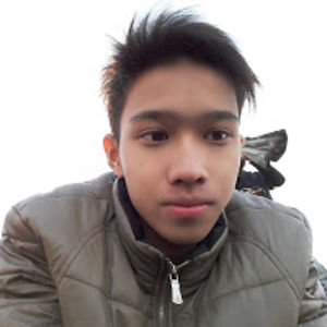 gadingbafaqih avatar